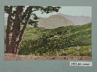 藏品(從摩里遜平臺眺望塔塔加的鹿林山莊)的圖片