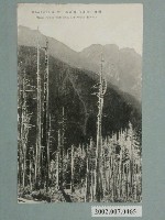 藏品(（新高八景之六）臺灣新高山白木林奇觀)的圖片