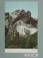 藏品(新高山)的圖片