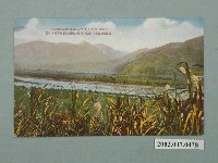 藏品(從臺車遠望新高山)的圖片