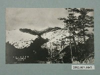 藏品(新高東山雪景)的圖片