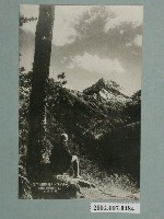 藏品(從巴奈伊克遠望秀姑巒山)的圖片