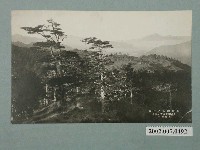 藏品(松嶺附近景觀)的圖片