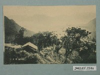 藏品(臺灣八景阿里山)的圖片
