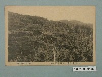 藏品(阿里山全景)的圖片