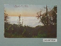 藏品(夕陽映照的雲海)的圖片