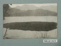 藏品(日月潭湖上的浮島 )的圖片