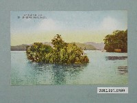 藏品(（臺灣）日月潭的浮島  )的圖片