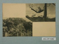 藏品(日月潭湖畔)的圖片