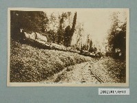 藏品(阿里山的運材)的圖片