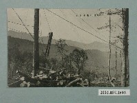 藏品(阿里山集材作業)的圖片