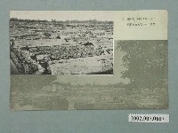 藏品(羅東營林所貯木池)的圖片