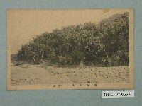 藏品(仙台印刷有限責任株式會社印製臺南州龍眼樹林)的圖片