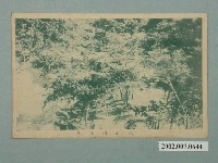 藏品(三星公園全景)的圖片