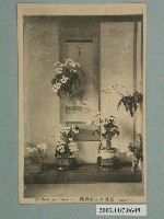 藏品(臺灣名花胡蝶蘭)的圖片