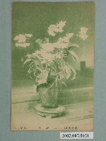 藏品(胡蝶蘭)的圖片