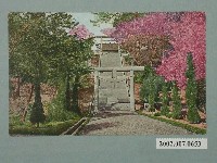 藏品(（臺灣霧社）霧岡神社)的圖片