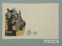 藏品(臺北生蕃屋本店發行胡蝶蘭　)的圖片