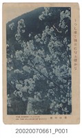 藏品(臺北勝山發行草山的櫻花)的圖片