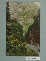 藏品(（臺灣八景）八仙山（臺中州）)的圖片