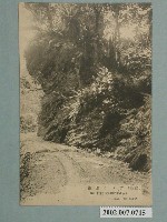 藏品(日本製臺灣烏來道路)的圖片
