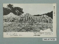 藏品(臺灣高雄 泥火山)的圖片