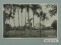 藏品(日本製造宜蘭公園)的圖片