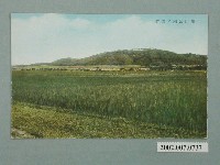 藏品(臺北生蕃屋本店印行眺望東山公園)的圖片