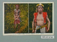 藏品(臺灣賽夏族原住民頭目的盛裝)的圖片