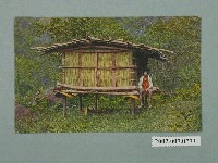 藏品(生蕃屋商店發行原住民茅屋)的圖片
