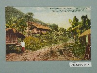 藏品(臺北生蕃屋本店發行臺灣泰雅族原住民)的圖片