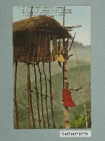 藏品(臺北生蕃屋本店印製發行原住民的望樓)的圖片