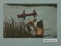 藏品(（臺灣）日月潭的獨木舟)的圖片