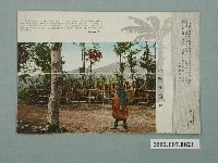 藏品(大正印製原住民婦女竹簍背負)的圖片