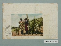 藏品(吹奏口簧琴的原住民少女)的圖片