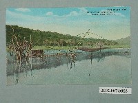 藏品(（臺灣日月潭）四手網)的圖片