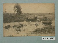 藏品(日本製臺灣南部水中的水牛)的圖片