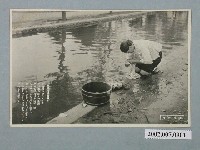 藏品(日本和歌山縣製婦人於路旁洗濯衣物)的圖片