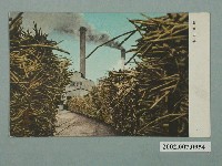 藏品(製糖工廠)的圖片