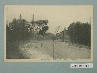 藏品(臺北杉田書店發行臺灣勸業共進會第二會場音樂堂眺望南洋館)的圖片