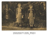 藏品(臺灣的美人姊妹)的圖片