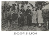 藏品(從臺灣出發前在自家拍攝)的圖片