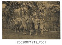 藏品(四名穿原住民服飾的男生及一位牽水牛的孩童擺出傳統舞姿)的圖片