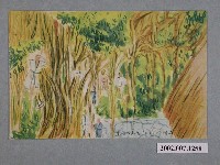 藏品(榕樹與它的氣根)的圖片