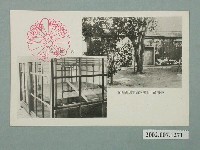 藏品(臺南神社社務所發行故北白川宮殿下遺跡之寢臺)的圖片