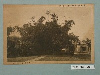 藏品(臺灣製糖株式會社發行屏東御休所瑞竹)的圖片