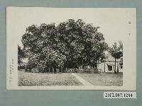 藏品(屏東臺灣製糖株式會社瑞竹)的圖片