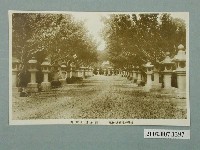 藏品(官幣大社臺灣神社新參道石燈籠)的圖片