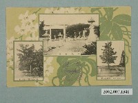 藏品(神社全景與皇族參拜植樹 )的圖片