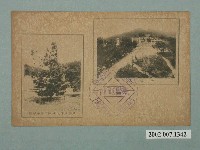 藏品(神社全景與北白川宮大妃殿下御手植松)的圖片